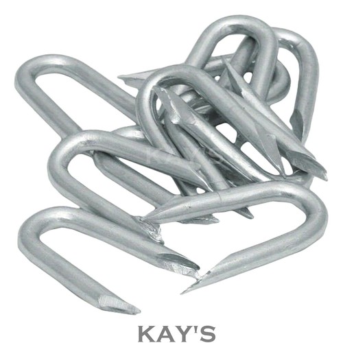 Galvanised staples nails - u,